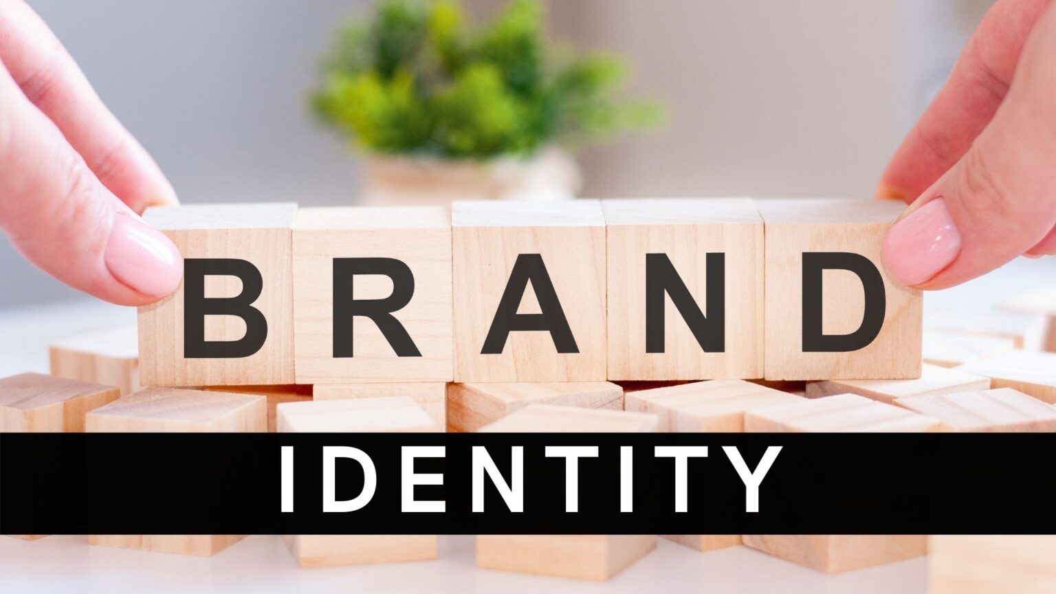 What Is Brand Identity? | The Marketing Eggspert Blog